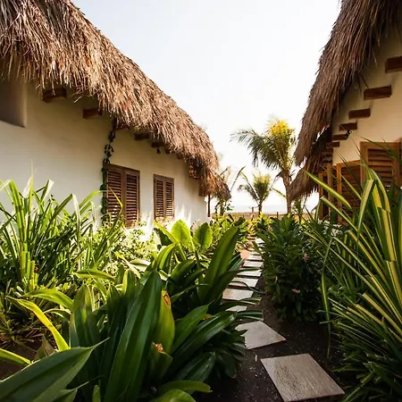 Paredon Surf House Hotel El Paredón Buena Vista Exterior photo