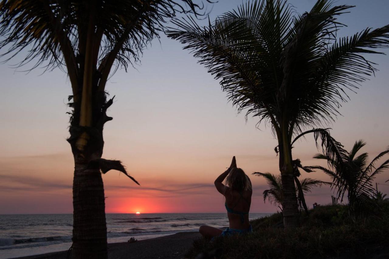 Paredon Surf House 2*