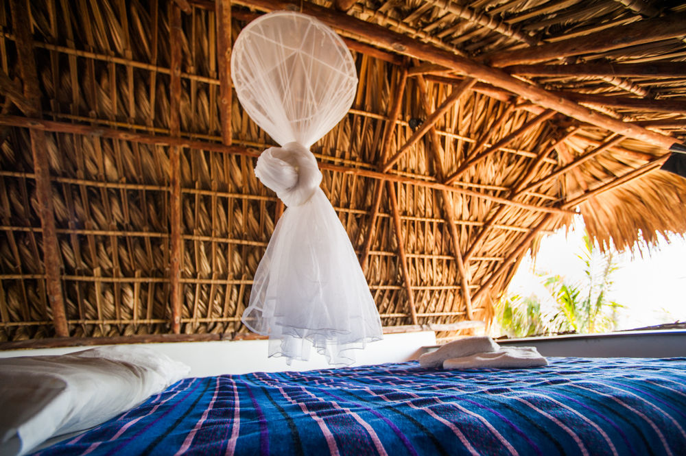 Hotel Paredon Surf House