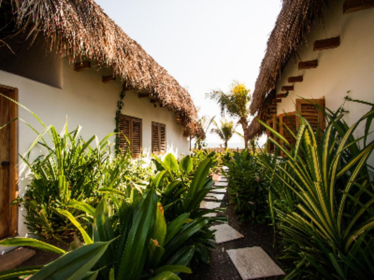 Paredon Surf House Hotel