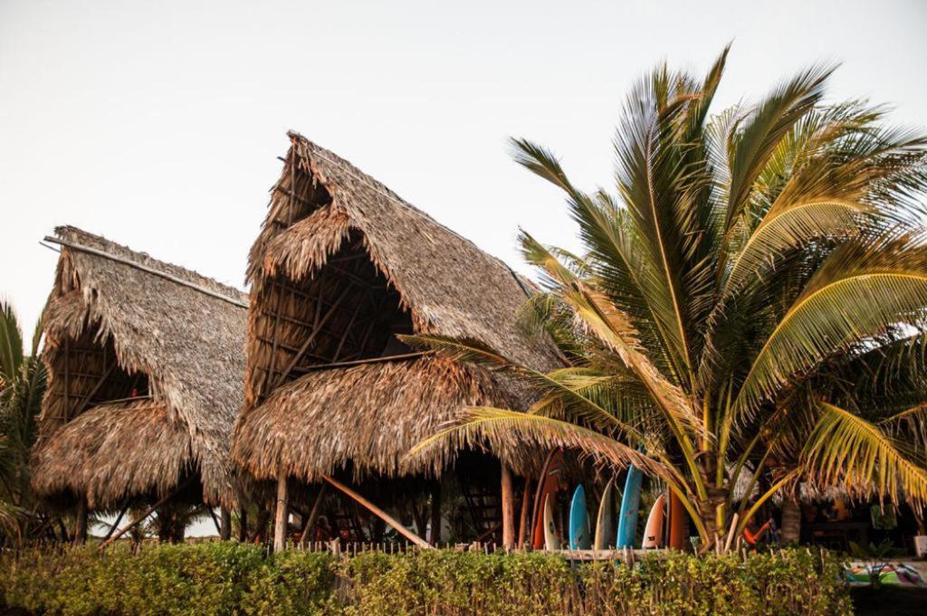 Paredon Surf House Hotel